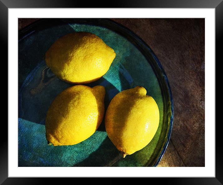Lemons Framed Mounted Print by James Rowland