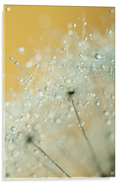 Soft Blue Drops Acrylic by Sharon Johnstone