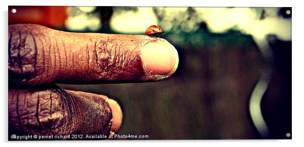 Ladybug on my finger Acrylic by perriet richard