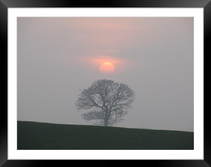Sunsetting on a hill Framed Mounted Print by hayley inness