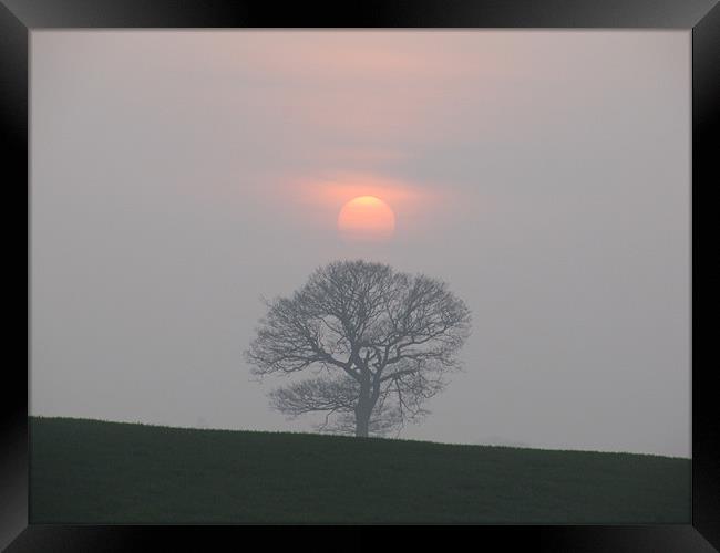 Sunsetting on a hill Framed Print by hayley inness