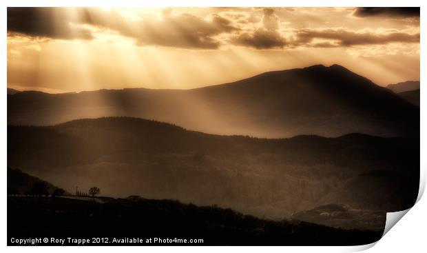 Maentwrog gradation Print by Rory Trappe