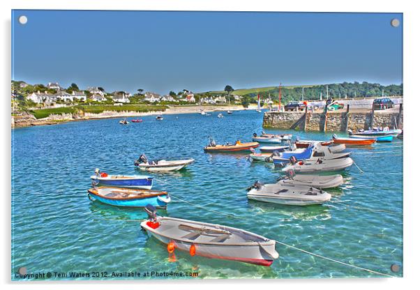St Mawes in the Sunshine Acrylic by Terri Waters