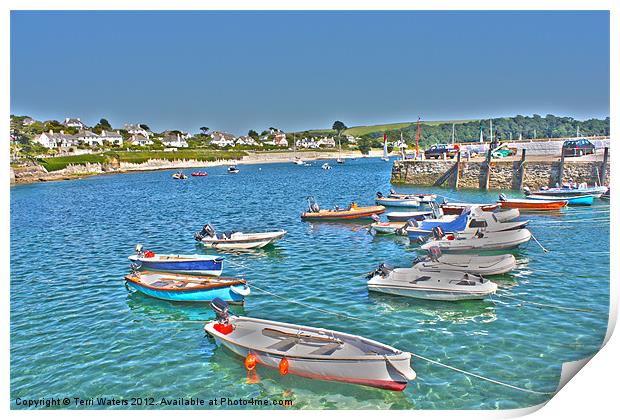St Mawes in the Sunshine Print by Terri Waters