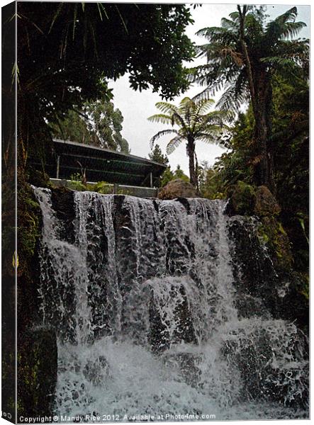 Garden Waterfall Canvas Print by Mandy Rice