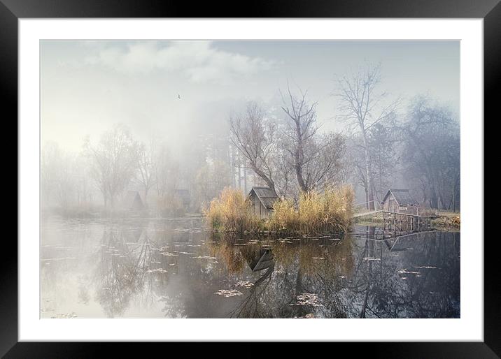 Origo Framed Mounted Print by Gabor Dvornik