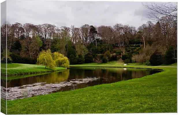 River Skell in Spring Canvas Print by Chris Andrew