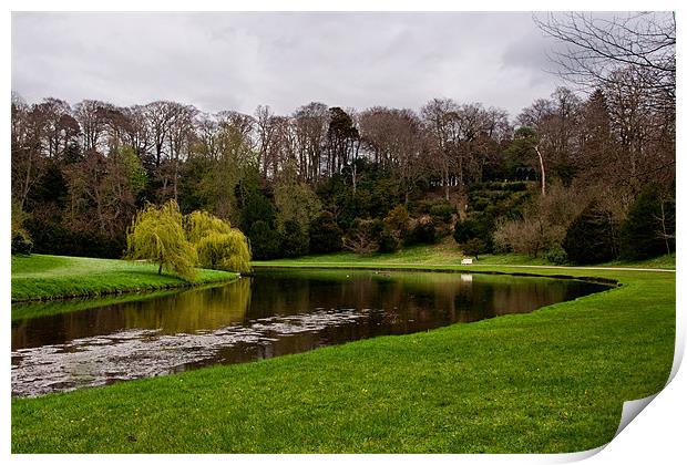 River Skell in Spring Print by Chris Andrew