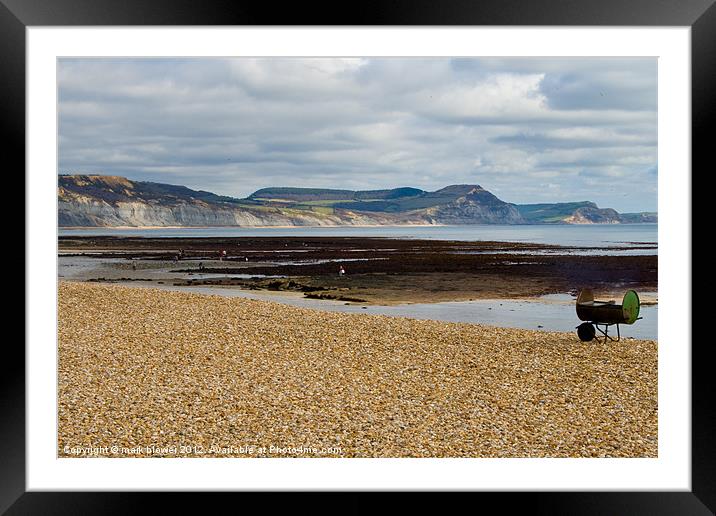 Lyme Regis Beach Framed Mounted Print by mark blower