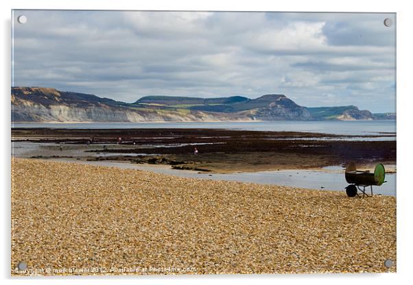 Lyme Regis Beach Acrylic by mark blower