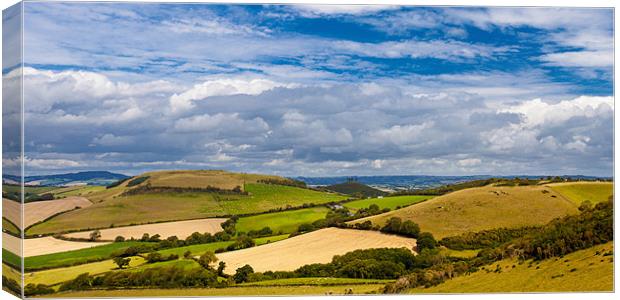 Dorset Countryside Canvas Print by David Tyrer