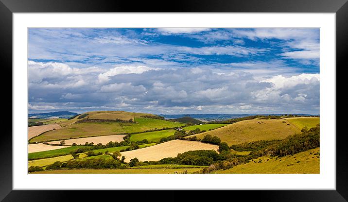 Dorset Countryside Framed Mounted Print by David Tyrer