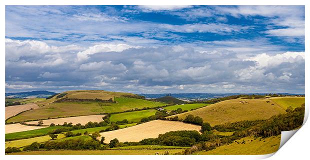 Dorset Countryside Print by David Tyrer