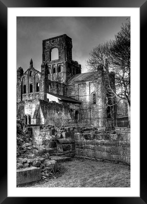 Kirkstall Abbey 2 Framed Mounted Print by Andrew Holland