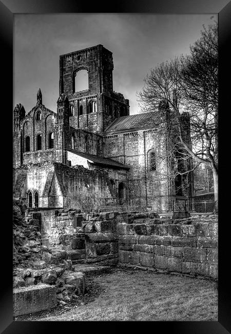 Kirkstall Abbey 2 Framed Print by Andrew Holland