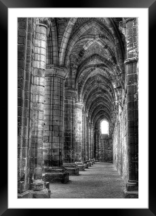 Kirkstall Abbey 3 Framed Mounted Print by Andrew Holland