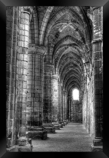 Kirkstall Abbey 3 Framed Print by Andrew Holland