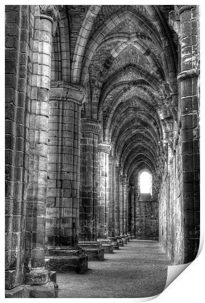 Kirkstall Abbey 3 Print by Andrew Holland