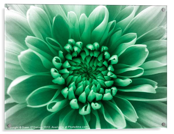 Green Flower Acrylic by Dawn O'Connor