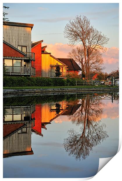 Golden Hour Reflections Print by Jason Connolly
