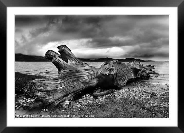Driftwood Framed Mounted Print by Kenny Partington