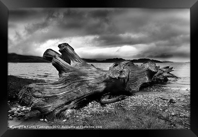 Driftwood Framed Print by Kenny Partington