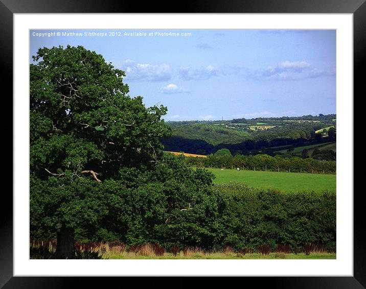 Devon Summer Framed Mounted Print by Bristol Canvas by Matt Sibtho