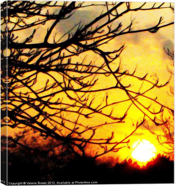 Silhouette of a tree branch Canvas Print by Valerie Brown