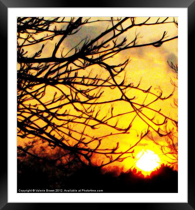 Silhouette of a tree branch Framed Mounted Print by Valerie Brown