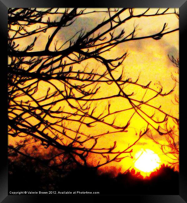 Silhouette of a tree branch Framed Print by Valerie Brown