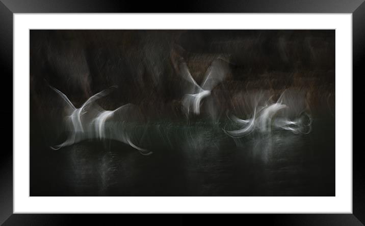Sea Sprites Framed Mounted Print by Natures' Canvas: Wall Art  & Prints by Andy Astbury