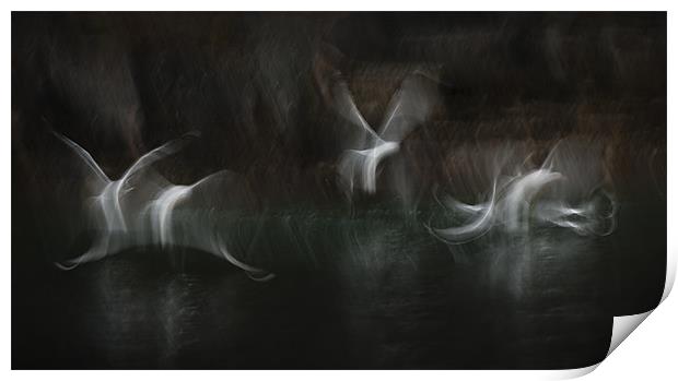 Sea Sprites Print by Natures' Canvas: Wall Art  & Prints by Andy Astbury