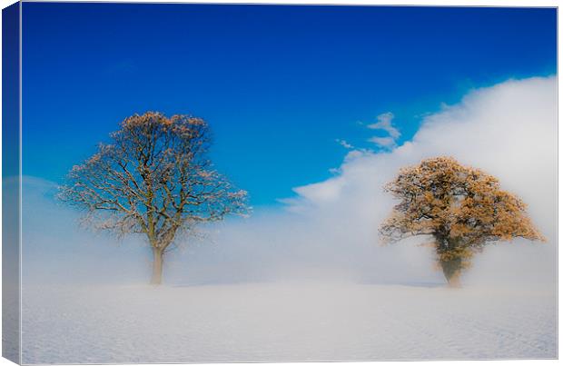 Enveloping Canvas Print by Marc Melander