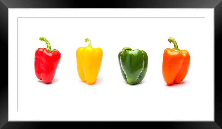 Vibrant Panorama of Rainbow Bell Peppers Framed Mounted Print by David Tyrer