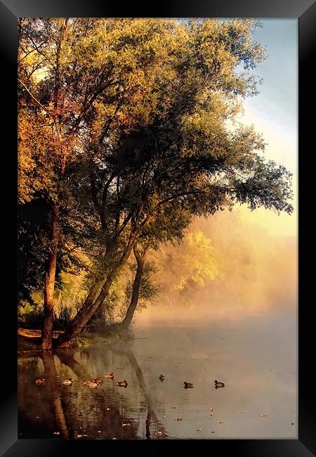 Rococo Framed Print by Gabor Dvornik