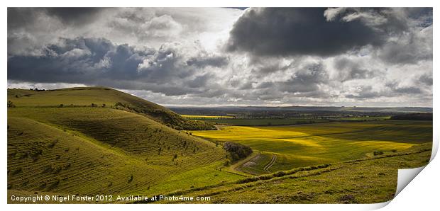 Pewsey Vale Spring Landscape Print by Creative Photography Wales
