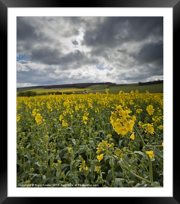 Wiltshire spring landscape Framed Mounted Print by Creative Photography Wales