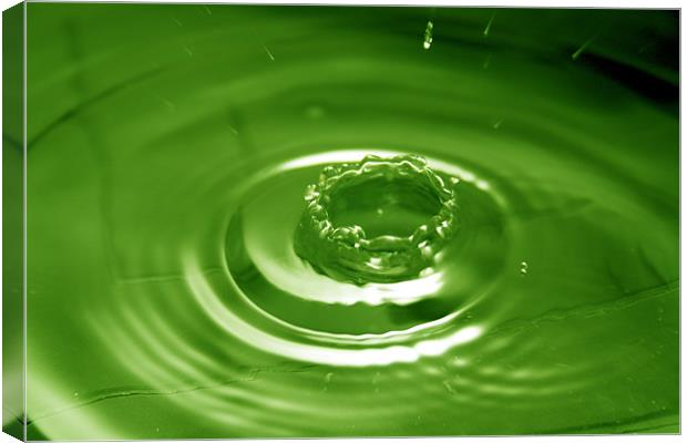 Green Water Drop Canvas Print by Andrew Holland