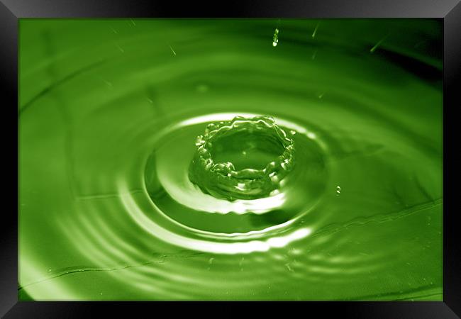 Green Water Drop Framed Print by Andrew Holland
