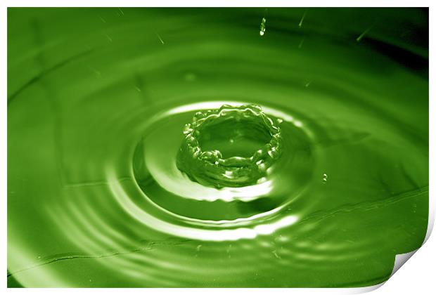 Green Water Drop Print by Andrew Holland