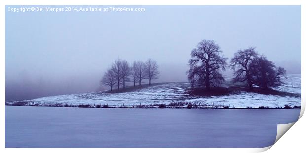 Winter Trees Print by Bel Menpes