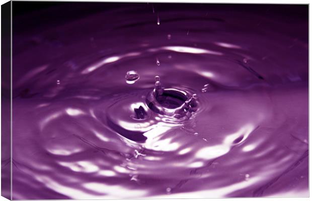 Purple Water Drop Canvas Print by Andrew Holland