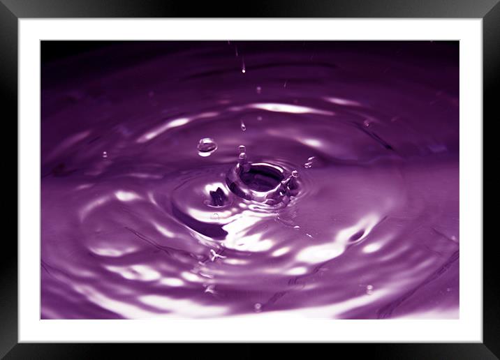 Purple Water Drop Framed Mounted Print by Andrew Holland