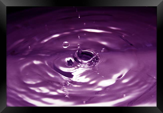 Purple Water Drop Framed Print by Andrew Holland