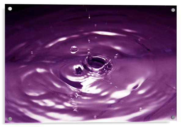 Purple Water Drop Acrylic by Andrew Holland