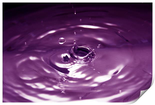 Purple Water Drop Print by Andrew Holland