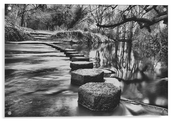 River Mole Stepping Stones Acrylic by Dean Messenger