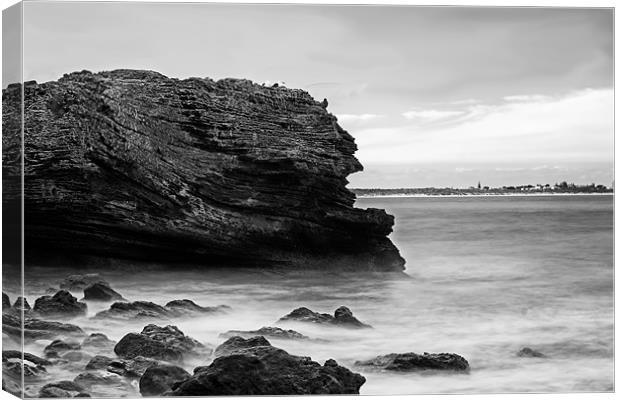 Black and White Rocks Canvas Print by Roger Green