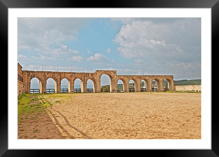 JERASH STADIUM Framed Mounted Print by radoslav rundic