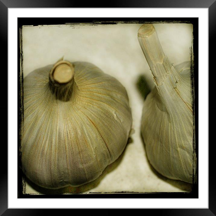 Cloves Of Garlic. Framed Mounted Print by Rosanna Zavanaiu